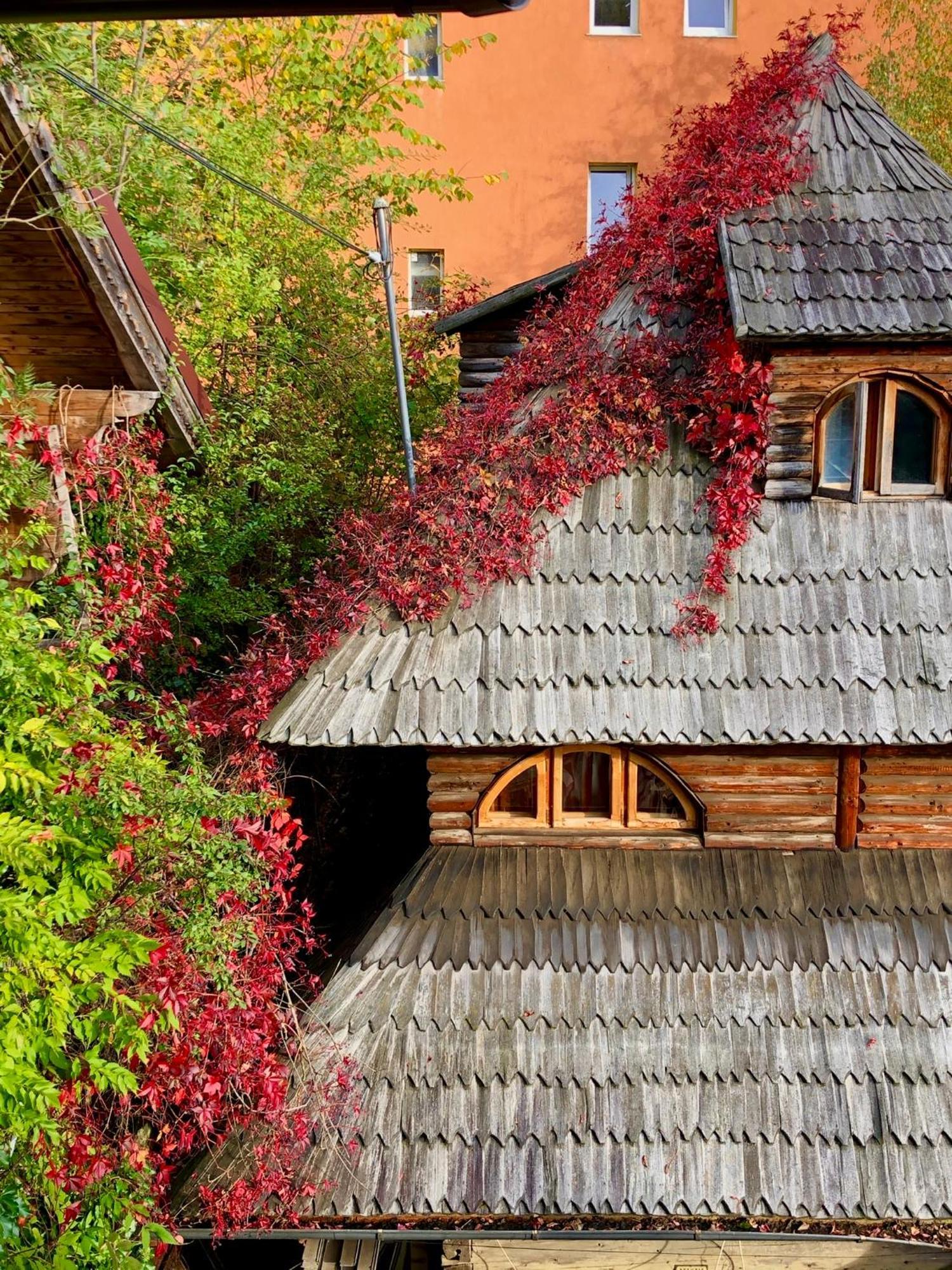 Casa Ieud - Catun Villa Sinaia Buitenkant foto